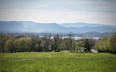 The Battle of Dandridge, Tennessee