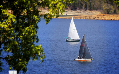 Rules of the Water: Staying Safe on Tennessee Lakes